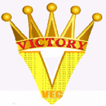 Anh Ngữ Victory (Công Ty TNHH Dịch Vụ Giáo Dục Và Anh Ngữ Victory)