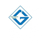 CÔNG TY CỔ PHẦN ĐẦU TƯ PHÁT TRIỂN ĐỊA ỐC SÀI GÒN REAL