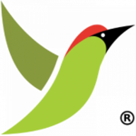 CÔNG TY CỔ PHẦN YAFFLE