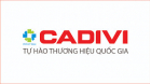 CHI NHÁNH CÔNG TY CỔ PHẦN DÂY CÁP ĐIỆN VIỆT NAM - CADIVI MIỀN BẮC