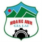 CÔNG TY CỔ PHẦN BAPI HOÀNG ANH GIA LAI