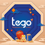 Công ty Cổ phần Giải pháp Công nghệ Tego Global