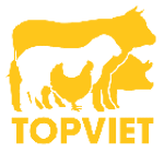 Công ty TNHH Thực Phẩm Top Việt