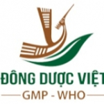 CN CÔNG TY CỔ PHẦN DƯỢC PHẨM VIỆT (ĐÔNG DƯỢC VIỆT)