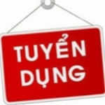 CÔNG TY CỔ PHẦN BAO BÌ ĐÔNG NAM VIỆT