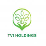 Công ty Cổ Phần TVI Holdings