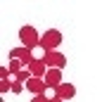 CÔNG TY TNHH BÁN LẺ SAMMISHOP