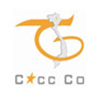 CÔNG TY TNHH KIỂM TOÁN TƯ VẤN THỦ ĐÔ