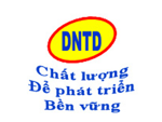 Công ty cổ phần Thiết kế Viễn thông Tin học Đà Nẵng