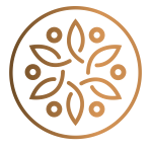 CÔNG TY TNHH DREAMS TREE ORGANIZATION