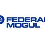 Công ty TNHH Federal-Mogul (Việt Nam)