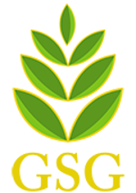 CN CÔNG TY CỔ PHẦN THƯƠNG MẠI MÙA VÀNG