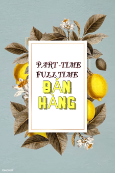 Bách hóa tổng hợp