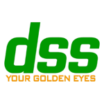 Công ty Cổ phần Giải pháp Dịch vụ Số (DSS)