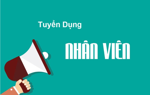 Thiên Vy