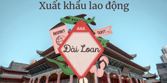 Xuất khẩu lao động Đài Loan: Chi phí, Điều kiện & Mức lương