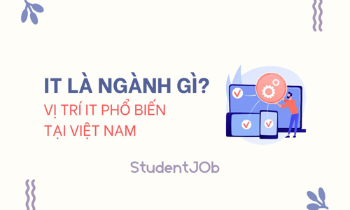 IT là ngành gì? Những vị trí IT phổ biến tại Việt Nam