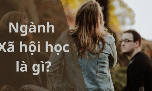 Ngành đào tạo Xã hội học là gì? Tốt nghiệp ra làm gì?