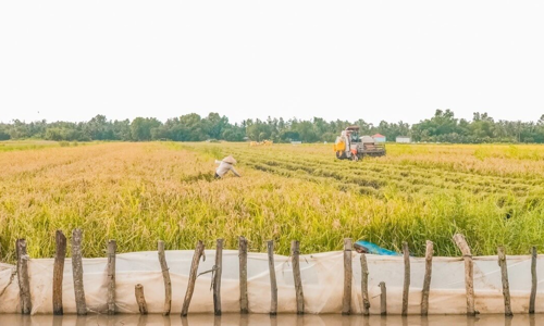 Ngành đào tạo Kinh tế Nông nghiệp là gì?