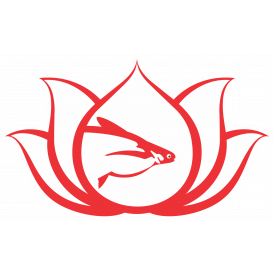 CÔNG TY TNHH SAO MAI SUPER FEED