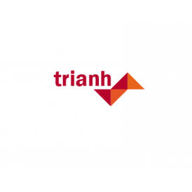 Công ty TNHH Giải Pháp Công Nghệ Trí Anh