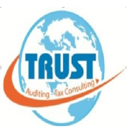 CN Công ty TNHH Kiểm toán Đại Tín