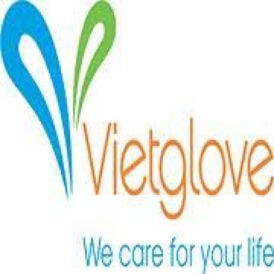 Cty Cổ Phần Găng Việt