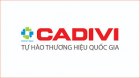 CHI NHÁNH CÔNG TY CỔ PHẦN DÂY CÁP ĐIỆN VIỆT NAM - CADIVI MIỀN BẮC