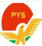 Công ty TNHH Công nghệ PYS Việt Nam