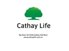 CÔNG TY TNHH BHNT CATHAYLIFE ĐÀ NẴNG 2