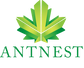 Ant Nest JSC