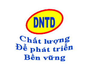Công ty cổ phần Thiết kế Viễn thông Tin học Đà Nẵng