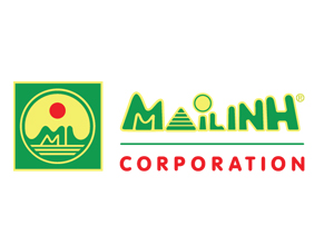 Công Ty TNHH Mai Linh Đà Nẵng