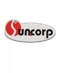 CÔNG TY CỔ PHẦN ĐẦU TƯ SUN