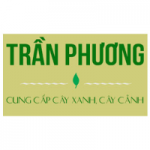 CÔNG TY TNHH THƯƠNG MẠI DỊCH VỤ CẢNH QUAN TRẦN PHƯƠNG