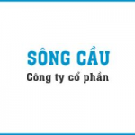 CÔNG TY CỔ PHẦN SÔNG CẦU