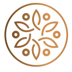 CÔNG TY TNHH DREAMS TREE ORGANIZATION