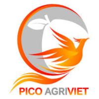 Công Ty TNHH Xuất Nhập Khẩu Pico Agriviet