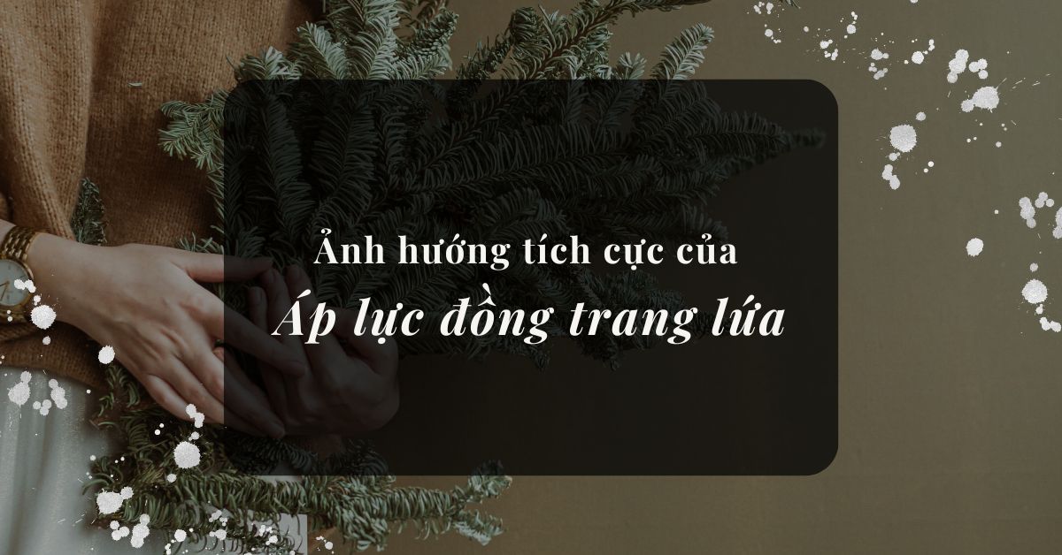 Ảnh hướng tích cực của áp lực đồng trang lứa đến xã hội