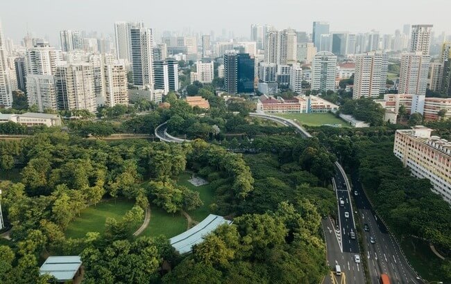 lâm nghiệp đô thị ra làm gì