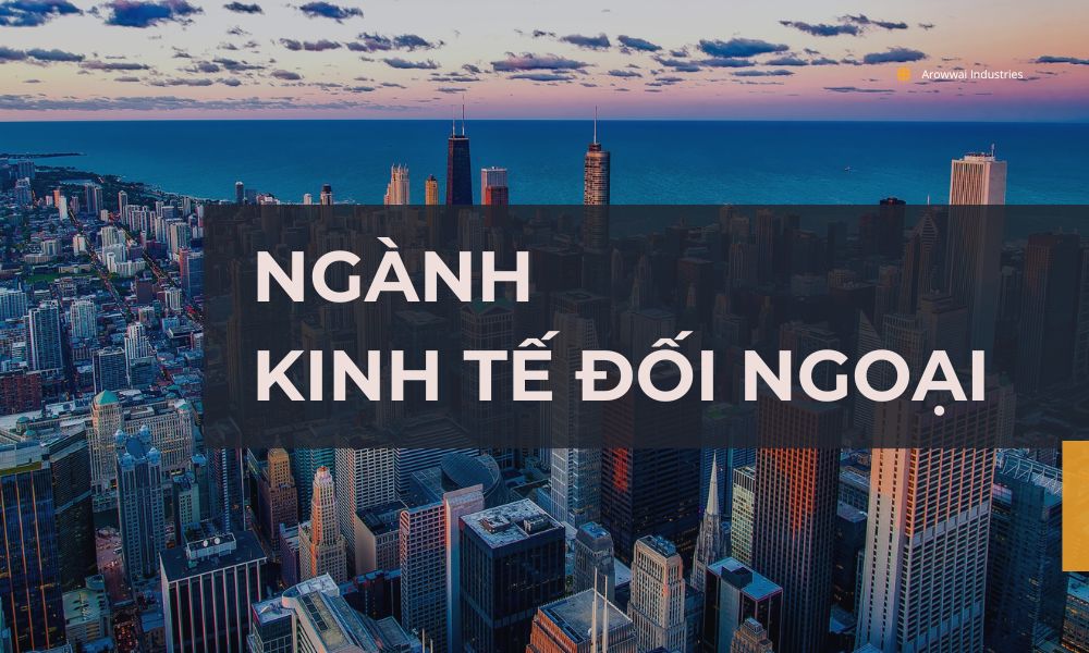 Ngành Kinh tế đối ngoại là gì? Tốt nghiệp ra làm gì?