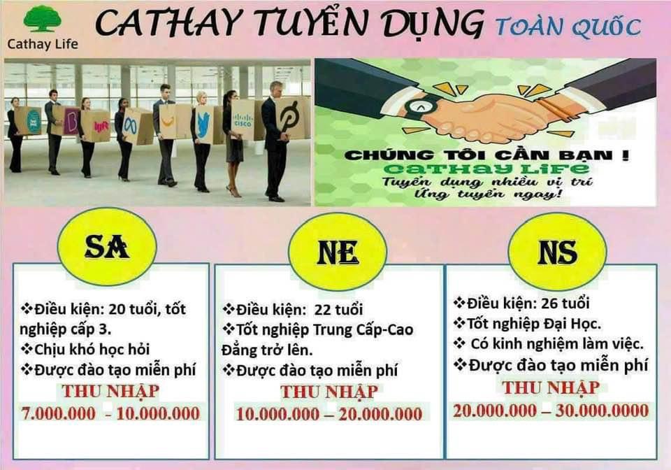 anh cong ty