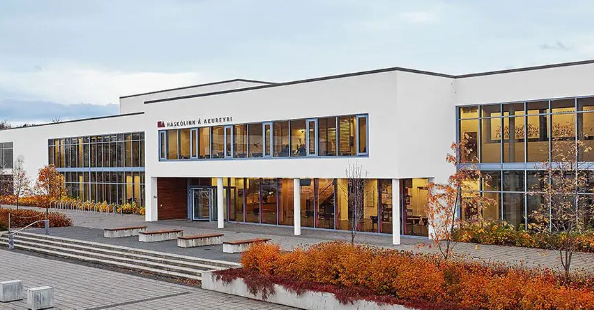 Đại học Akureyri (University of Akureyri) – Trường Đại Học Định Hướng Cộng Đồng Tại Vùng Bắc Iceland